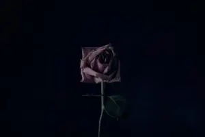 Wrongful Death Lawyer Florida