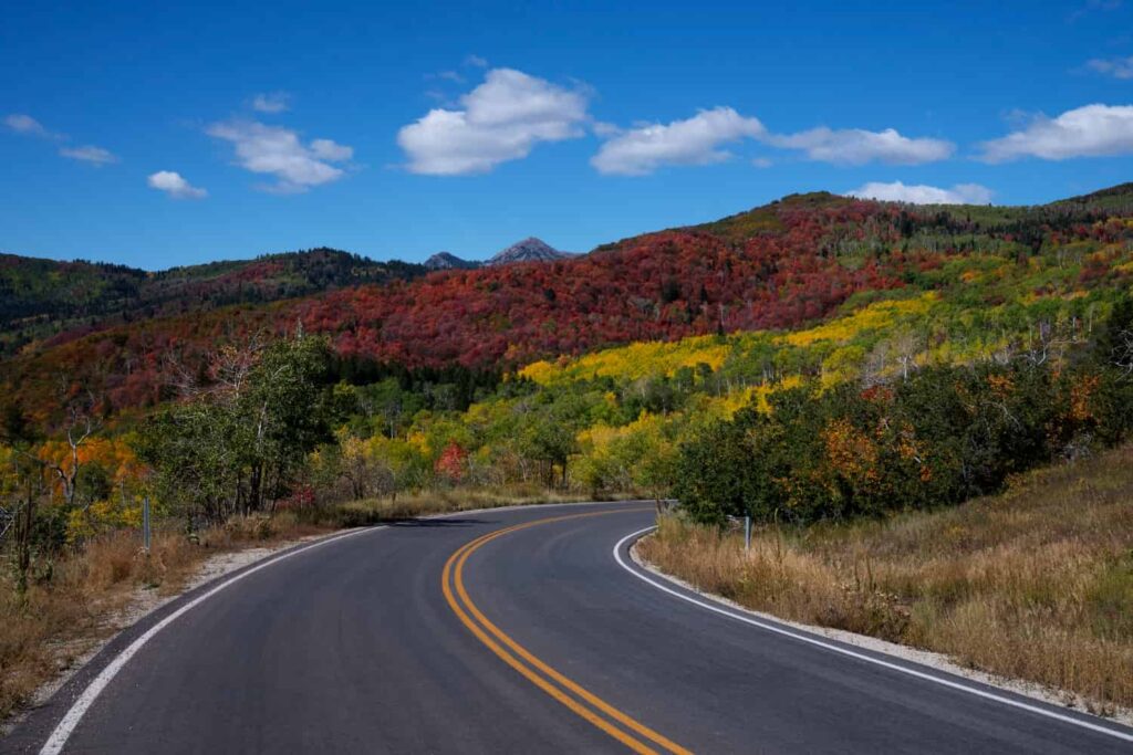 What Holiday Has the Most Car Accidents