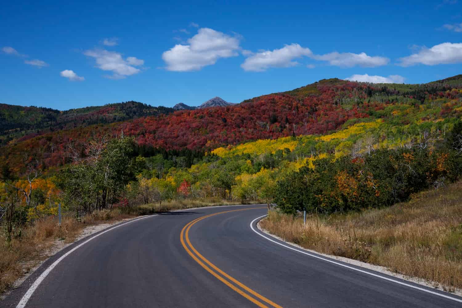 Color Might Affect Perception on the Road