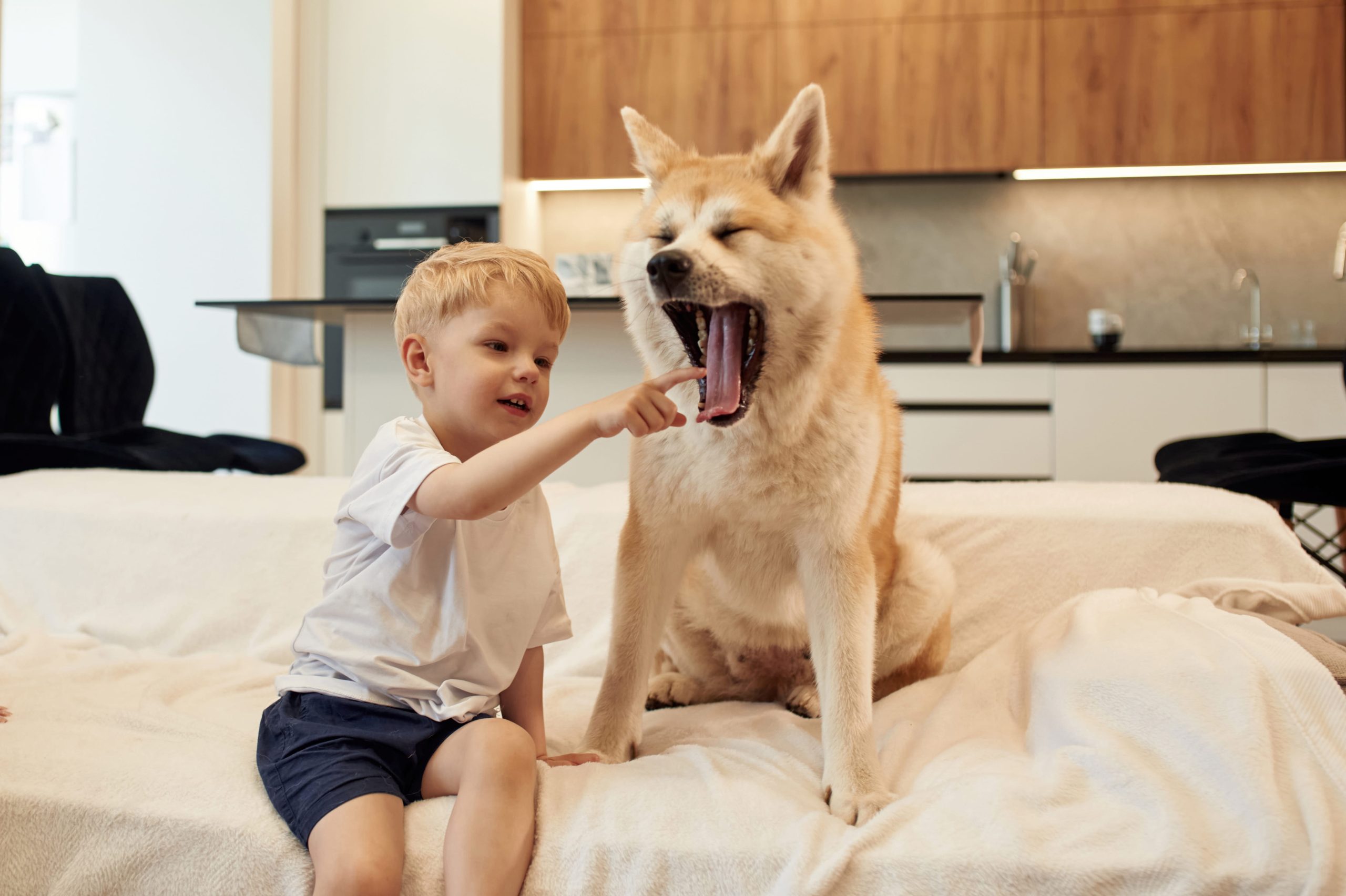 How insurance pays for a child's dog bite