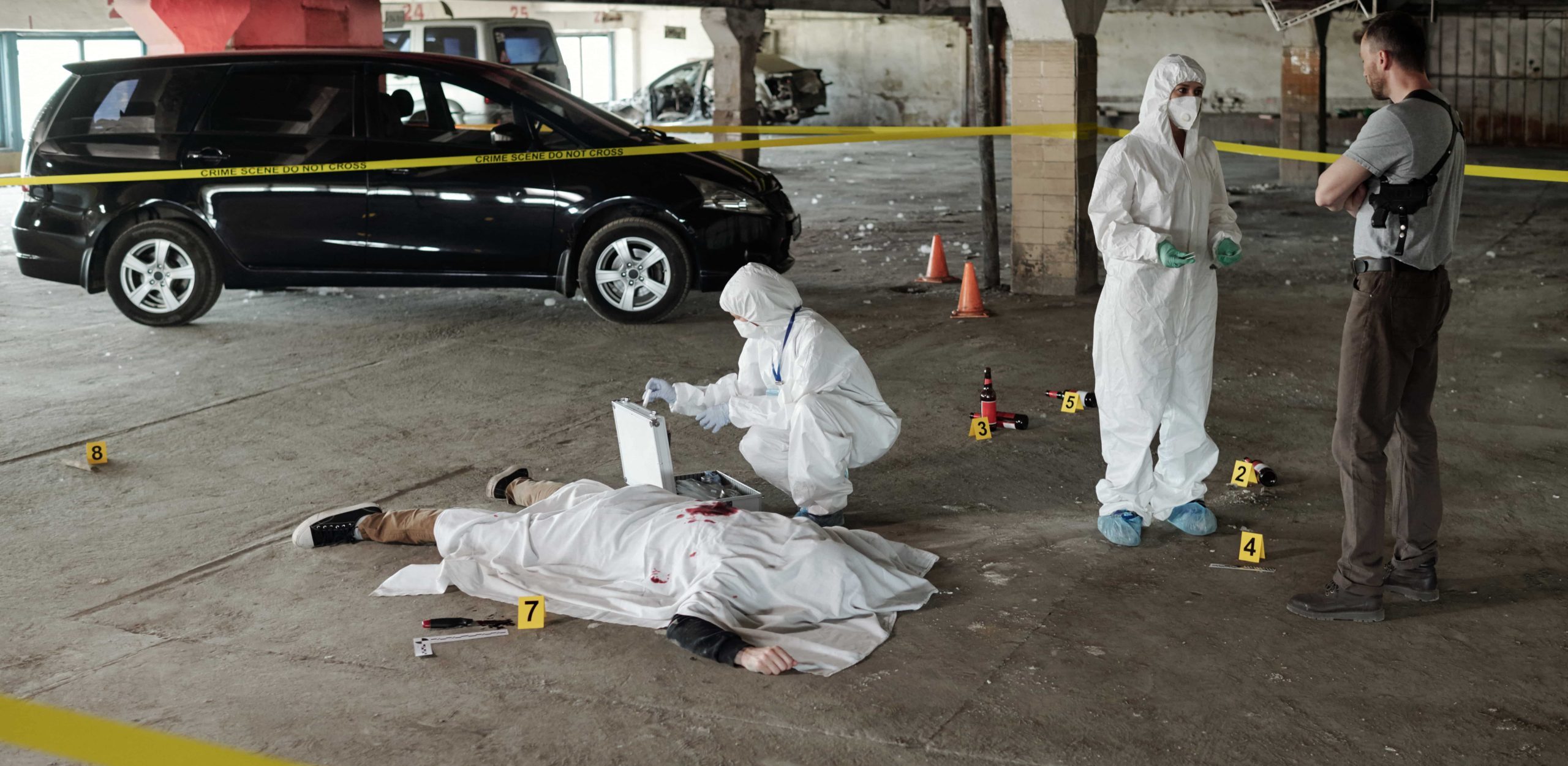 accident reconstruction expert