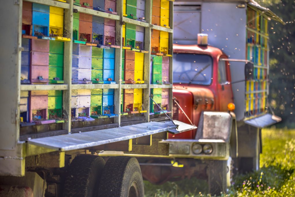 improperly loaded truck accident Florida