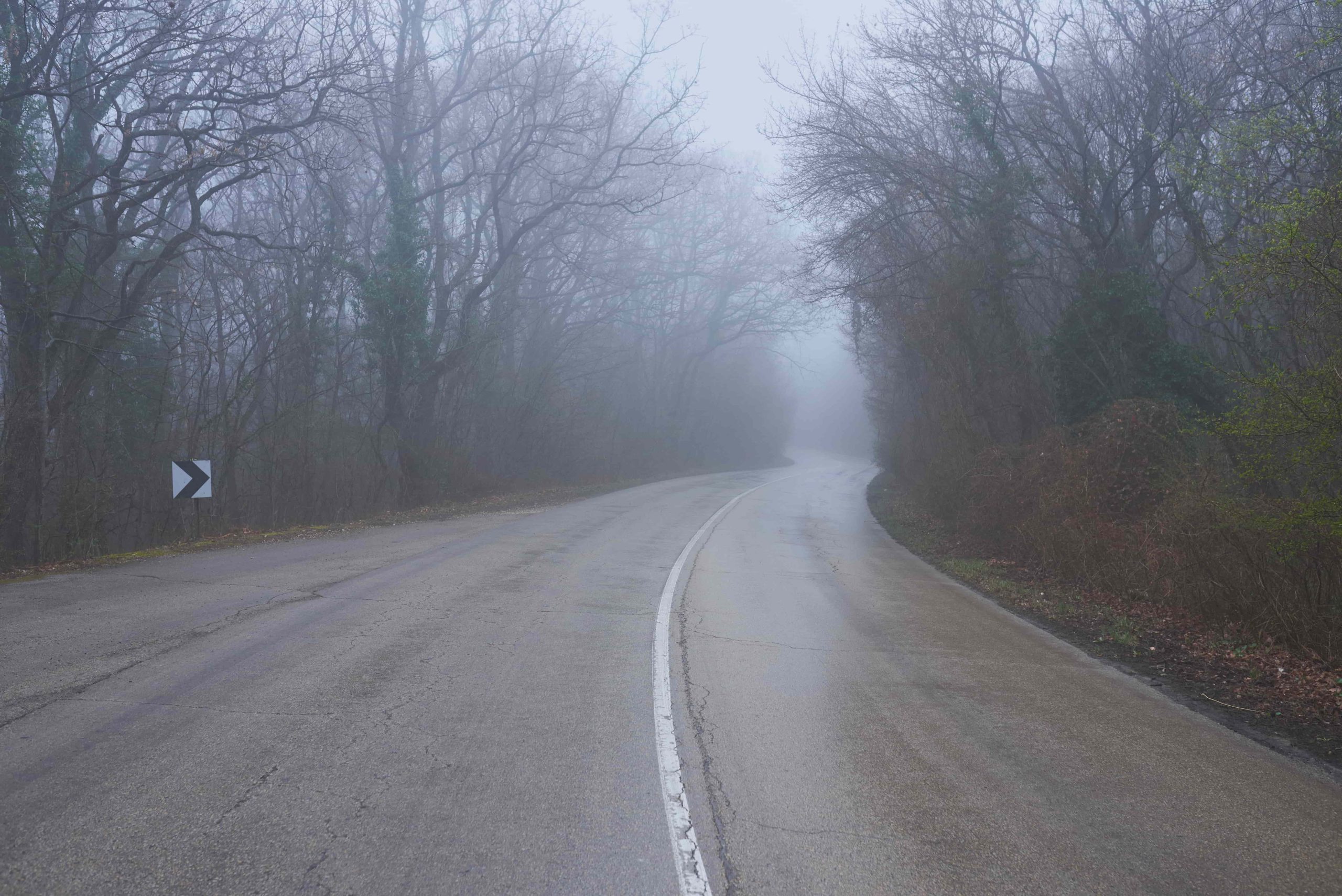 The evidence that reconstructs a fog crash