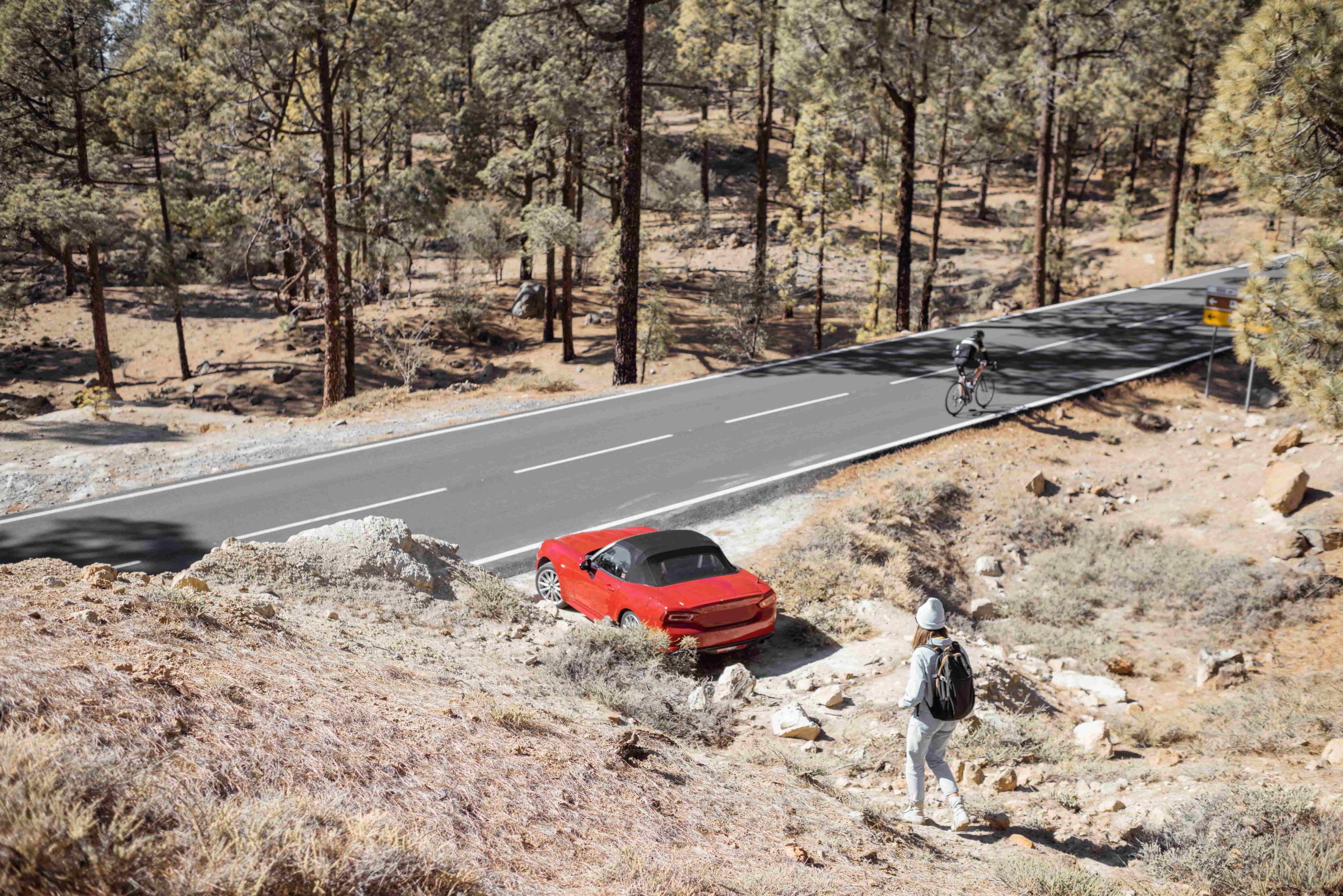 automatic emergency braking failure Florida